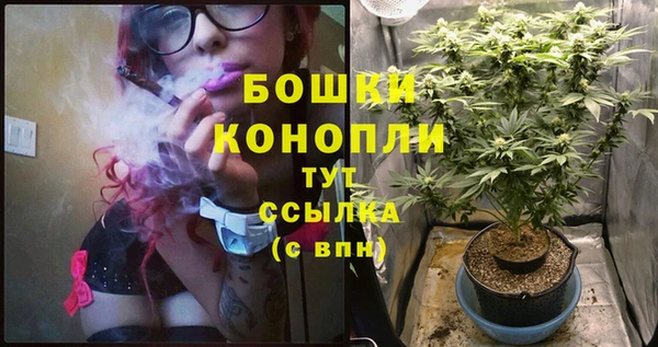 прущие крисы Рославль