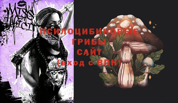 прущие крисы Мегион