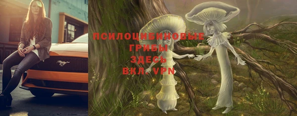 прущие крисы Мегион