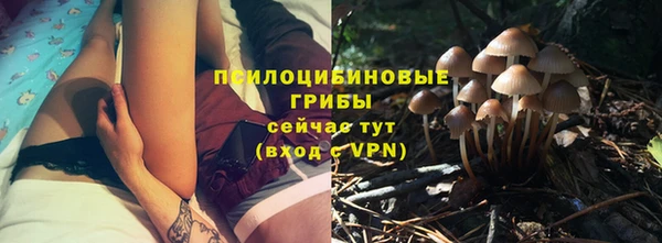 прущие крисы Мегион