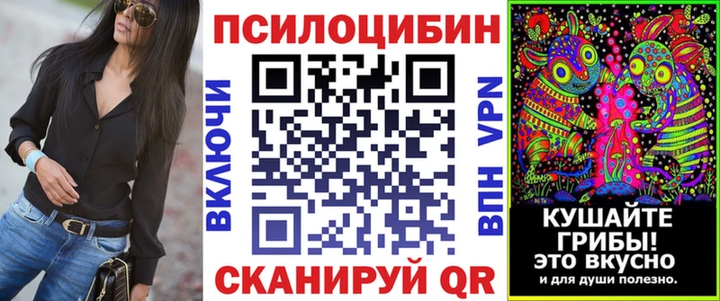 mega tor  Карабаново  Псилоцибиновые грибы мухоморы 